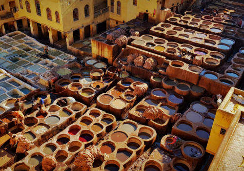 Copie de Logo pour les deux sites web (2)